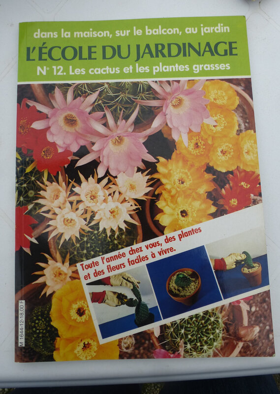 objet plab livres cactus (4)