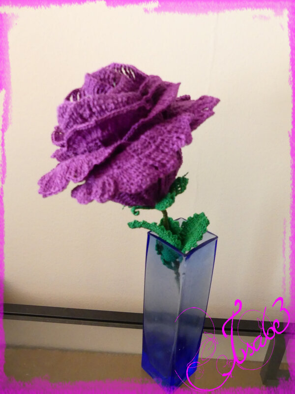 rose violette (4)