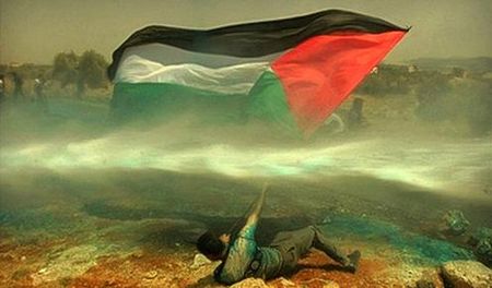 palestine_gaza_massacre