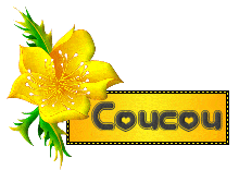 un classique : le biscuit roulé une version légére. recettes dessert Biscuit fondant au zeste dorange