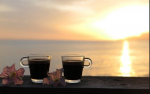 café sous le soleil