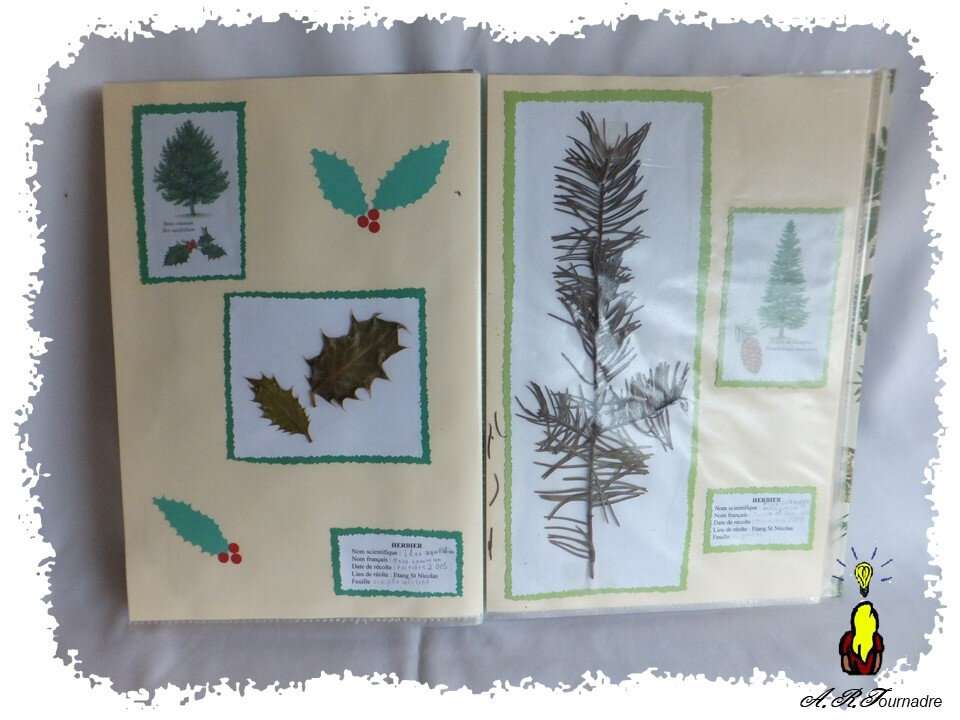 ART 2006 06 herbier8