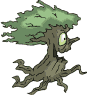 arbre11