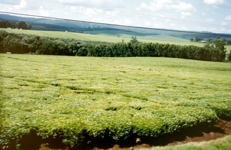 nord kenya rr