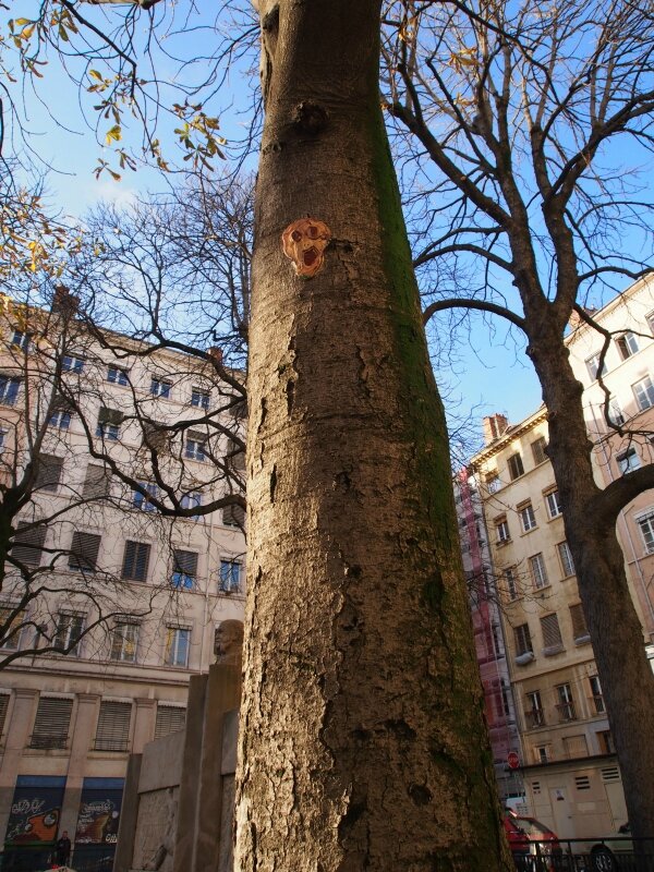 Green, place Chardonnet