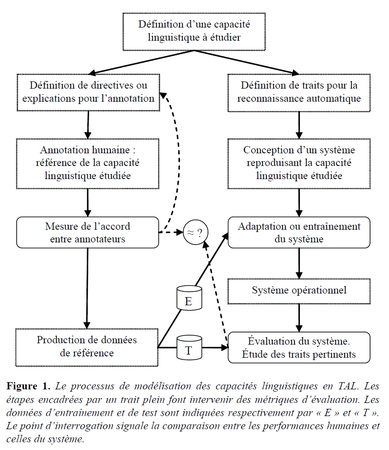 Processus_de_modelisation_des_capacit_s_linguistiques_en_TAL