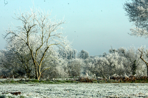 givre-b