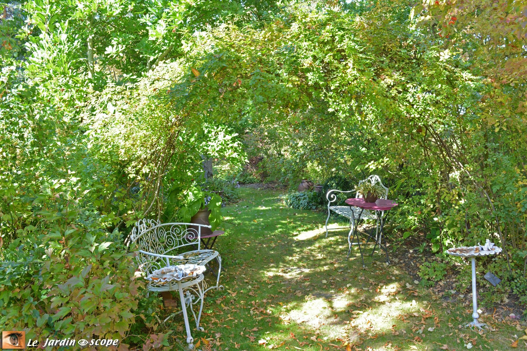 Deux bancs blancs en fer forgé (Jardin de Chantal - 45)