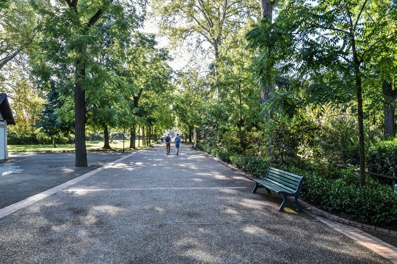 Jardin des plantes