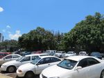 IMG_3381_parking_chauv_souris_Cairns__2_