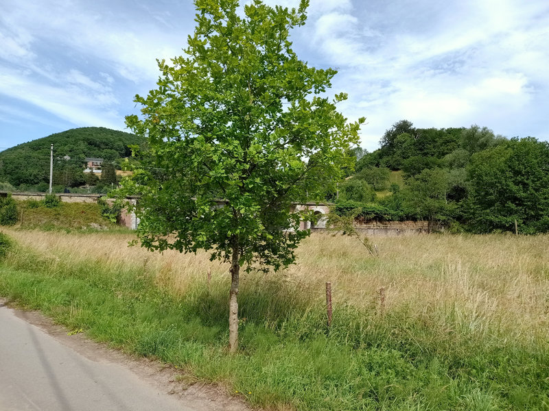 IMG20220622161745