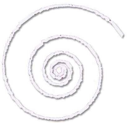 spirale1