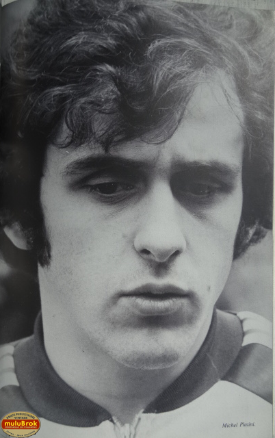 LES VERTS 80 muluBrok (5)