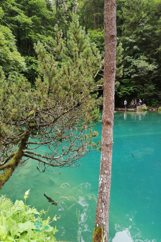 SUISSE_Blausee_6