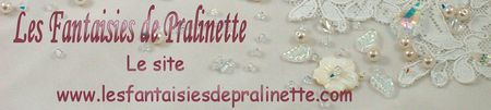 Le_site_www