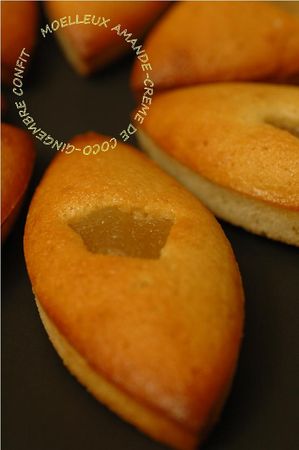 Moelleux_amandes_cr_me_de_coco_gingembre_confit_2