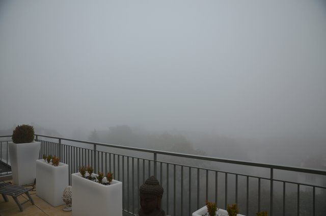 brouillard_002