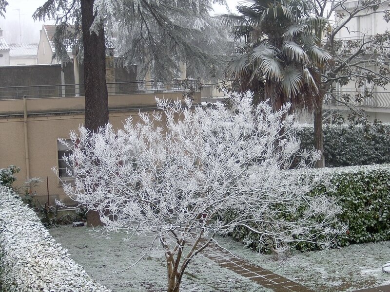 GIVRE