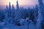 finlande_paysage