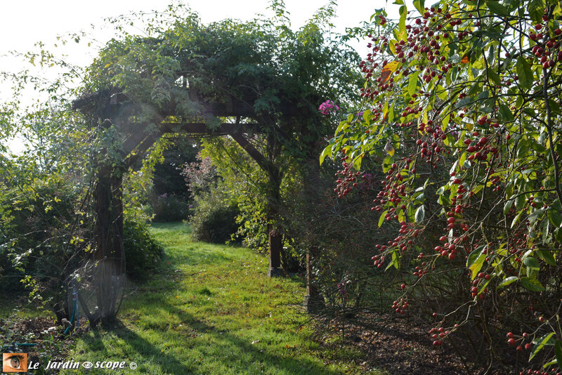 PAT_8974-Berville