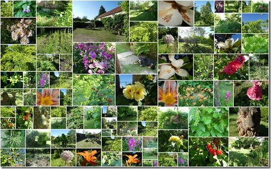 jardin 24 juin 20238
