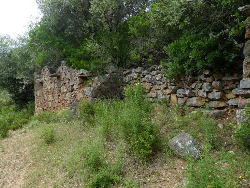 P1240979