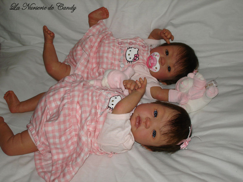 Bébé best sale reborn jumelle