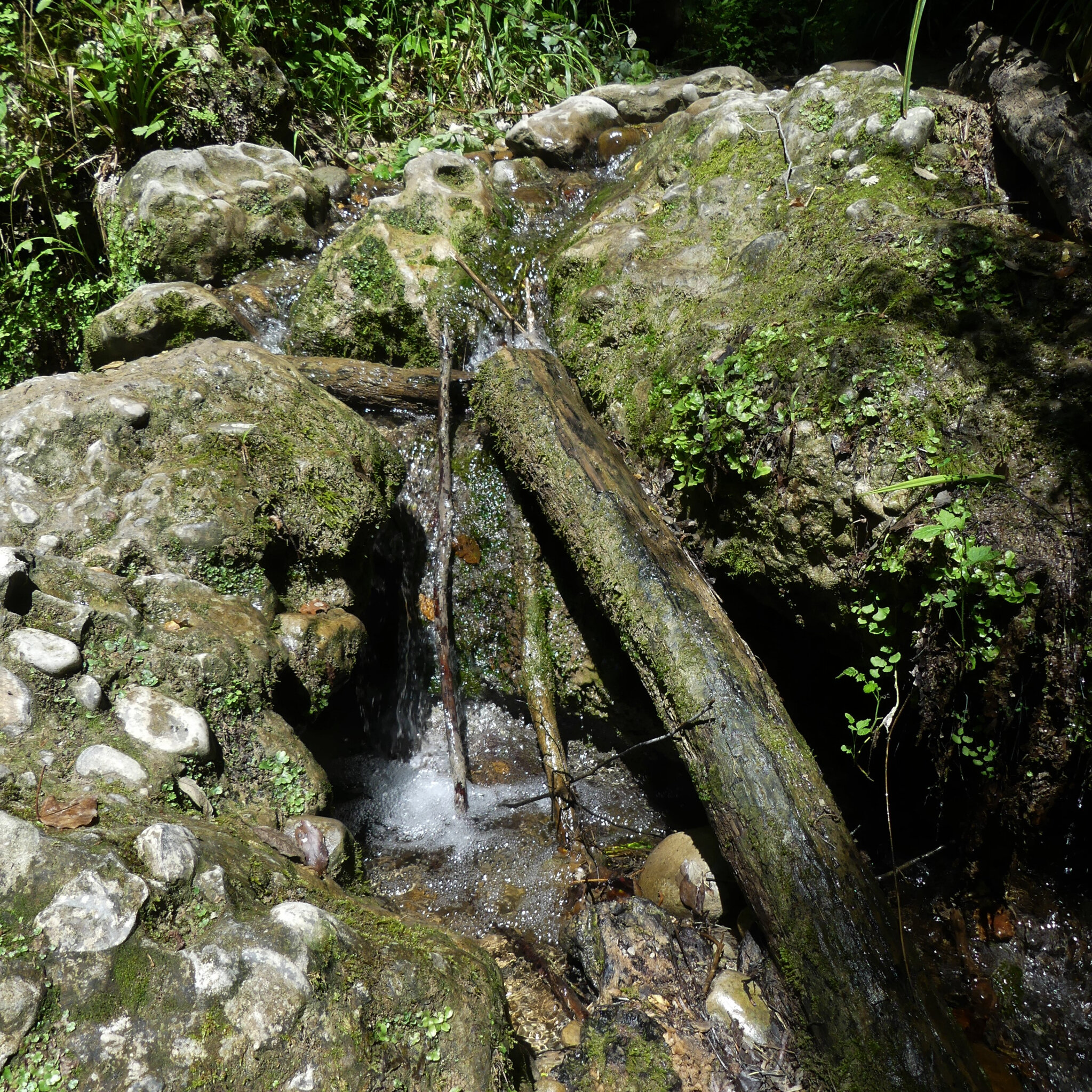 P1120727 (2)