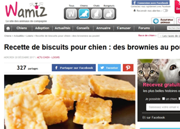 journaux_biscuit_animaux (1)