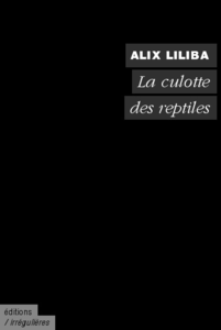 sans-titre livre