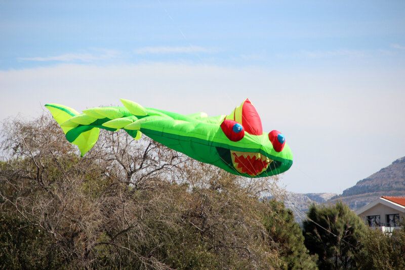 fete_du_vent_cerf_volant