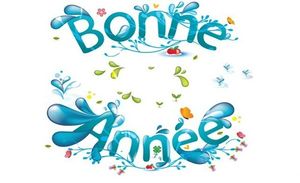 bonne-annee-2013