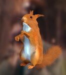 Squirrel_9