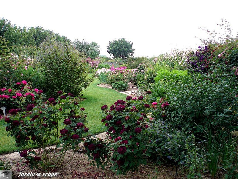 Visite du nouveau jardin…
