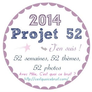 projet-52-milie-logo