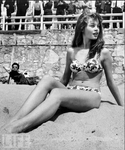 bb_cannes_1953