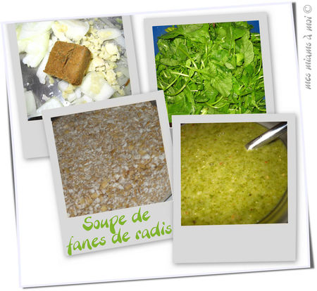 Soupe de fanes de radis recettes Soupe de fanes de radis