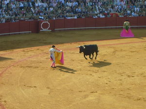 Corrida___fuego_artificiales_025