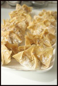 RP_raviolis_porc_avant_1