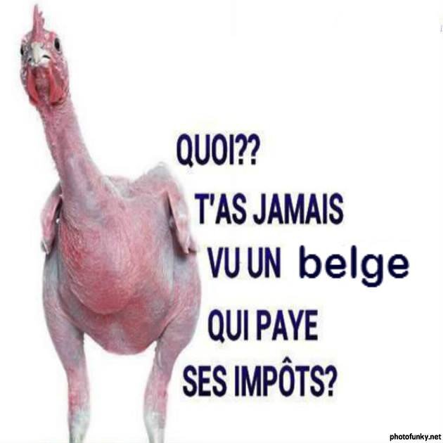 le_belge_qui_paie_ses_impots