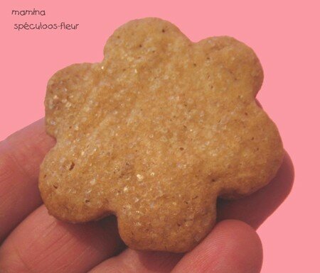 SPECULOOS10O