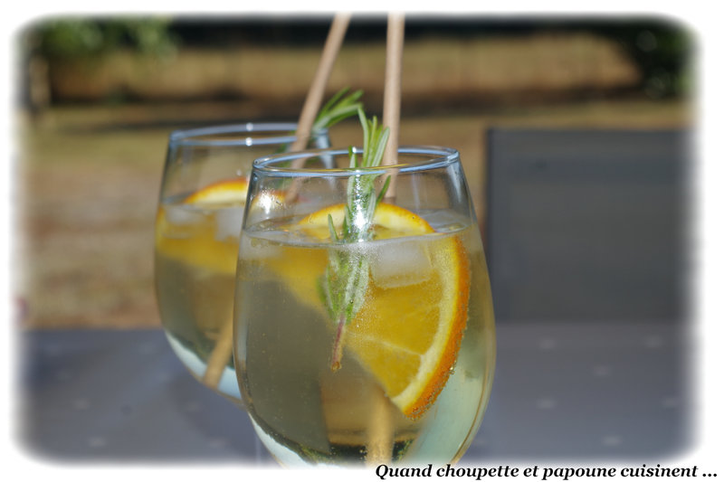 brandy spritz-1130
