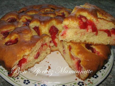 Gâteau aux prunes rougeâtres sauvages de juillet 010