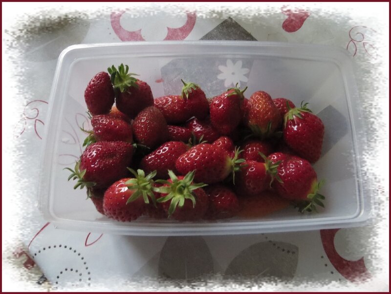 premi_res_fraises