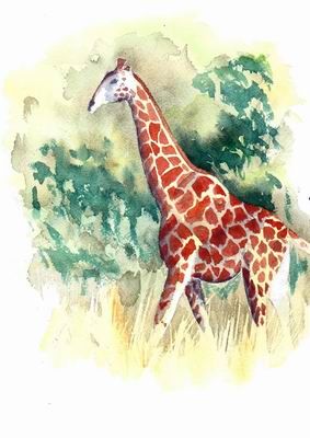 girafe_redim