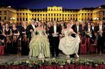 soir-e-concert-au-palais-de-sch-nbrunn-in-vienna-109637