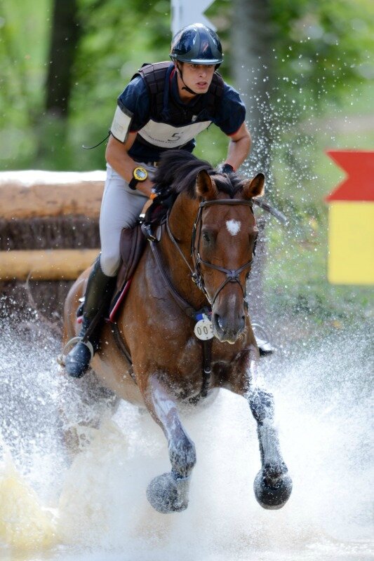 Jeux Equestres Mondiaux 2014 cross Normandie