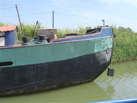 DSC06648