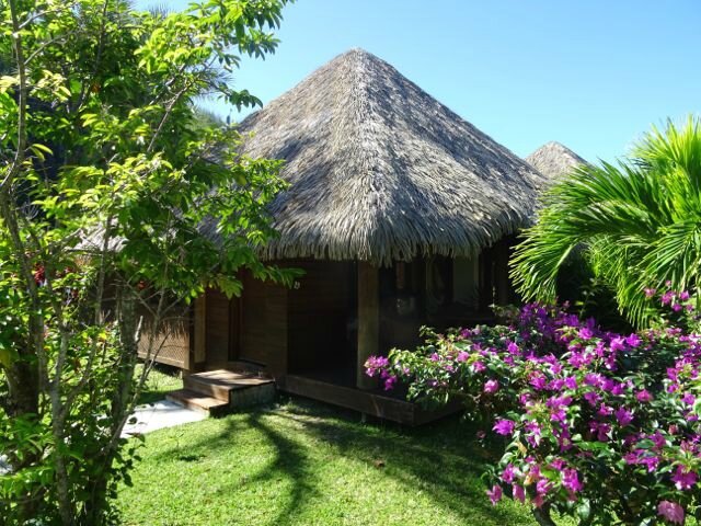 DSC07049