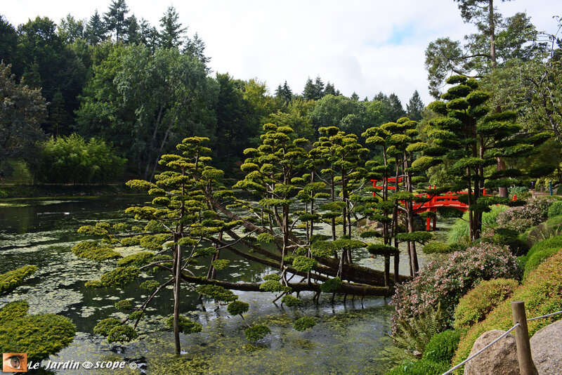 PAT_0935 Parc Oriental de Maulévrier
